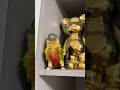 This conure is performing a classic parrot dance. #birds #parrot #cute #parrots #pets #shorts