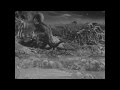 The Lost World (1925): Triceratops Vs Tyrannosaurus Rex with Sound!