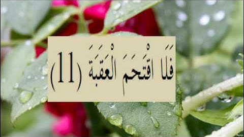 القران الكريم سورة البلد الاية 11