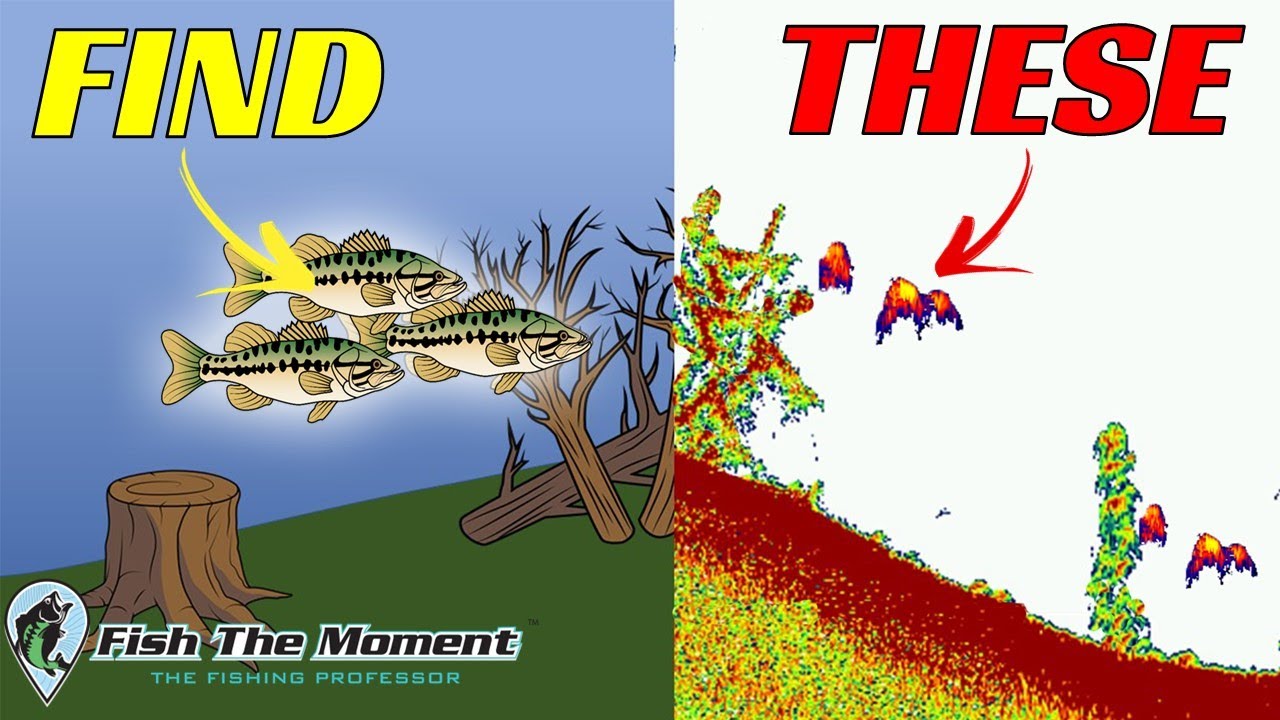This Process Never Fails To Find Bass On a Fish Finder