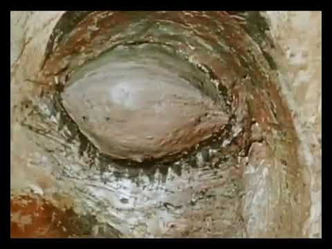 Watch sleeplab - slime on YouTube Watch sleeplab - slime on YouTube