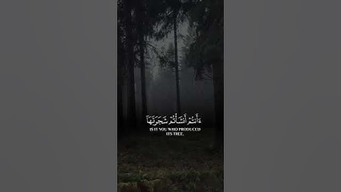 أفرأيتم #النار  التي تورون #ياسر_الدوسري #القرآن_الكريم #اكسبلور #quran #ستوريات #تلاوات #quran