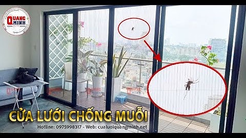 Giải pháp || NGĂN CÔN TRÙNG || hiệu quả và an toàn - Cửa Lưới Chống Muỗi Quang Minh