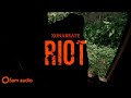 Xonarrate  riot ft abhishek nailwal official