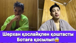 видео: Шерхан қослайқпен қоштасты Ботаға қосылып😱 картинка: Шерхан қослайқпен қоштасты Ботаға қосылып😱
