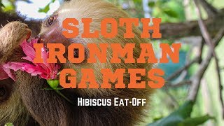 GAME 2: Hibiscus EatOff | 2019 Sloth Ironman Games