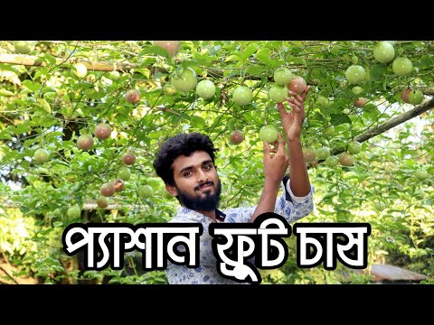 ভিডিও: বিট রান্না করার 5 টি উপায়