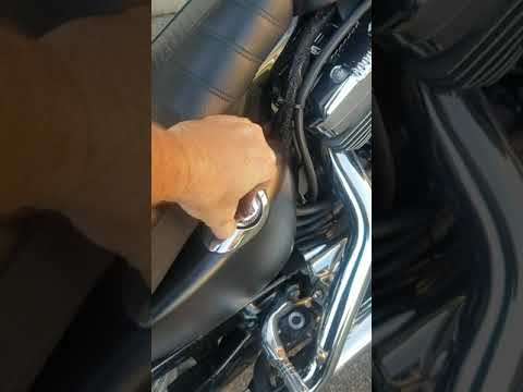 harley davidson sportster