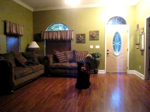 Christine Jones aka Lumanaspearl Dancing to Lord I...