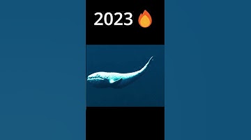 Thumbnail of EVOLUTION OF THE BLOOP 2022 -2024 #evolution