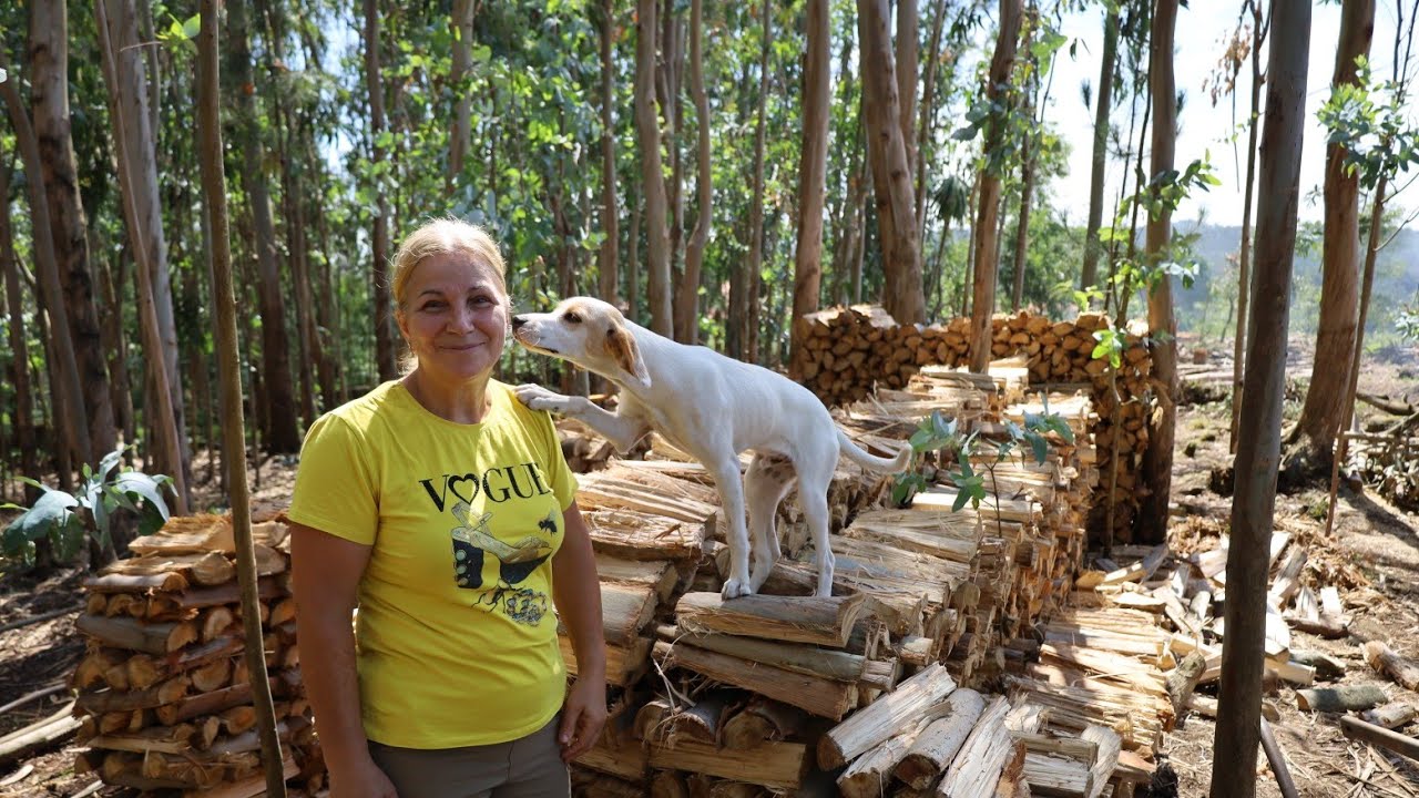 ATUALIZAÇÃO DO TERRENO