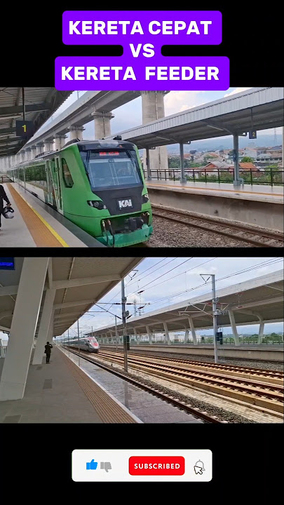 Kereta Cepat VS Kereta Feeder  | High Speed Train and Feeder Train in Indonesia 🇮🇩