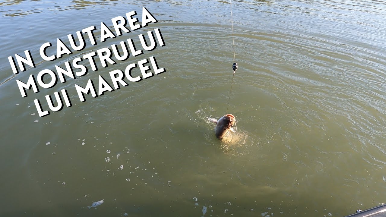 Pescuit la clonc pe Dunare, de la Gorgova la Crisan, brat Sulina, Delta Dunarii.