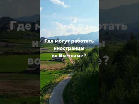 Где могут работать