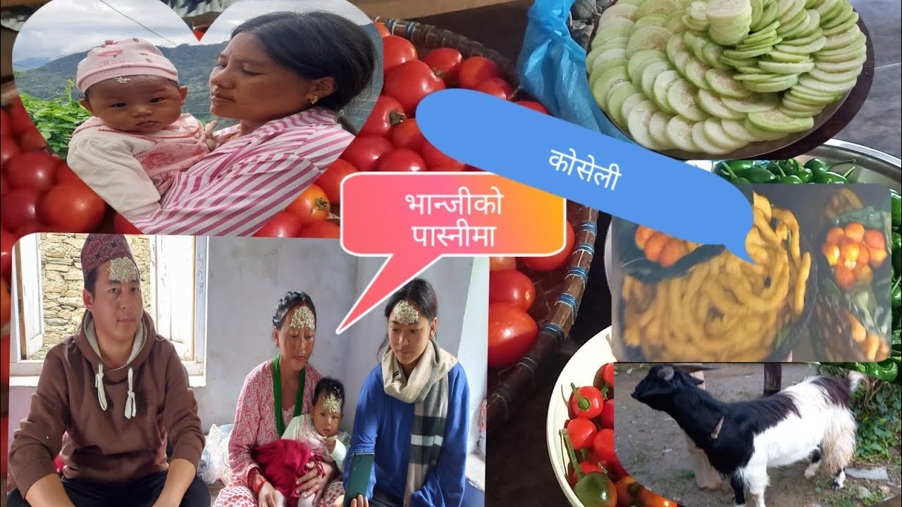 भान्जीको पास्नीमा को-को आउनु भयो त? के- के कोसेली ल्याउनु भयो। 