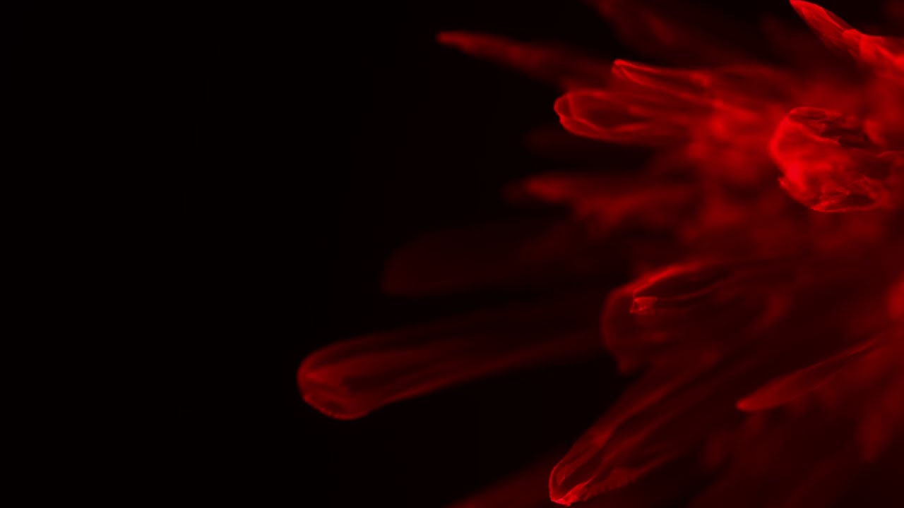 Red Abstract Glass Background Scientific Chem | Free Video Backgrounds | MD Animated Background