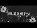 Elephant In My Room - Fade In @ Summer Vibes - 29/7/17