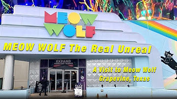 Meow Wolf The Real Unreal (A visit to Meow Wolf, Grapevine, Texas)