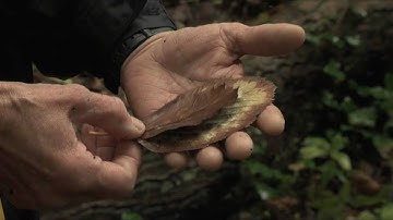 panasonicpro-user.com presents: Houston