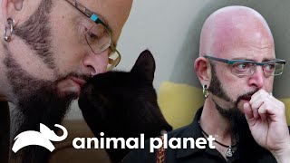 Jackson salva a una mascota de ser sacrificada | Mi gato endemoniado | Animal Planet