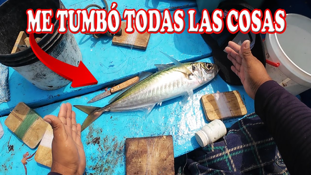 LO VOLVIMOS A ENCONTRAR  | JURELES MARGARITO EN PUCUSANA | Tablita Fishing
