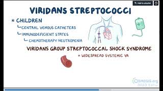 Streptococcus Viridans