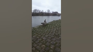 دعاء وأذكار الصباح والمساء #سعدالغامدي #اذكار #القرآن_الكريم #المغرب #مصر #مكة