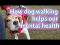 &#39;How dog walking helps my mental health&#39;