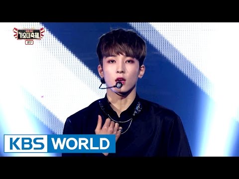 SEVENTEEN - Wild Eyes [2016 KBS Song Festival / 2017.01.01]