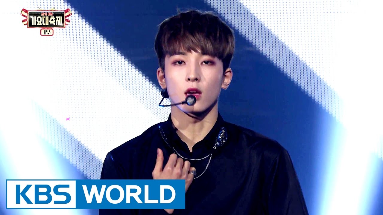 SEVENTEEN - Wild Eyes [2016 KBS Song Festival / 2017.01.01]