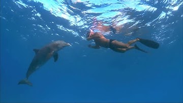 Oceanography Music Video project