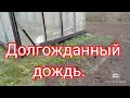 Долгожданный дождь.#дача#огород#теплица#