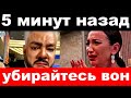 5 минут назад / &quot;  убирайтесь вон &quot; - Михалков шокировал своим поступком!