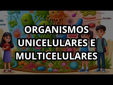 Organismos Unicelulares e Multicelulares