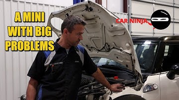CAR NINJA! A Mini With Big PROBLEMS