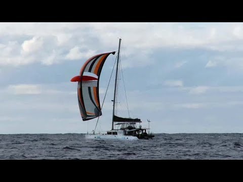 33. SAILING FROM NEW ZEALAND TO MINERVA with twenty boats, zero wind, two mahis and a squid.