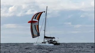 33. SAILING FROM NEW ZEALAND TO MINERVA with twenty boats, zero wind, two mahis and a squid.
