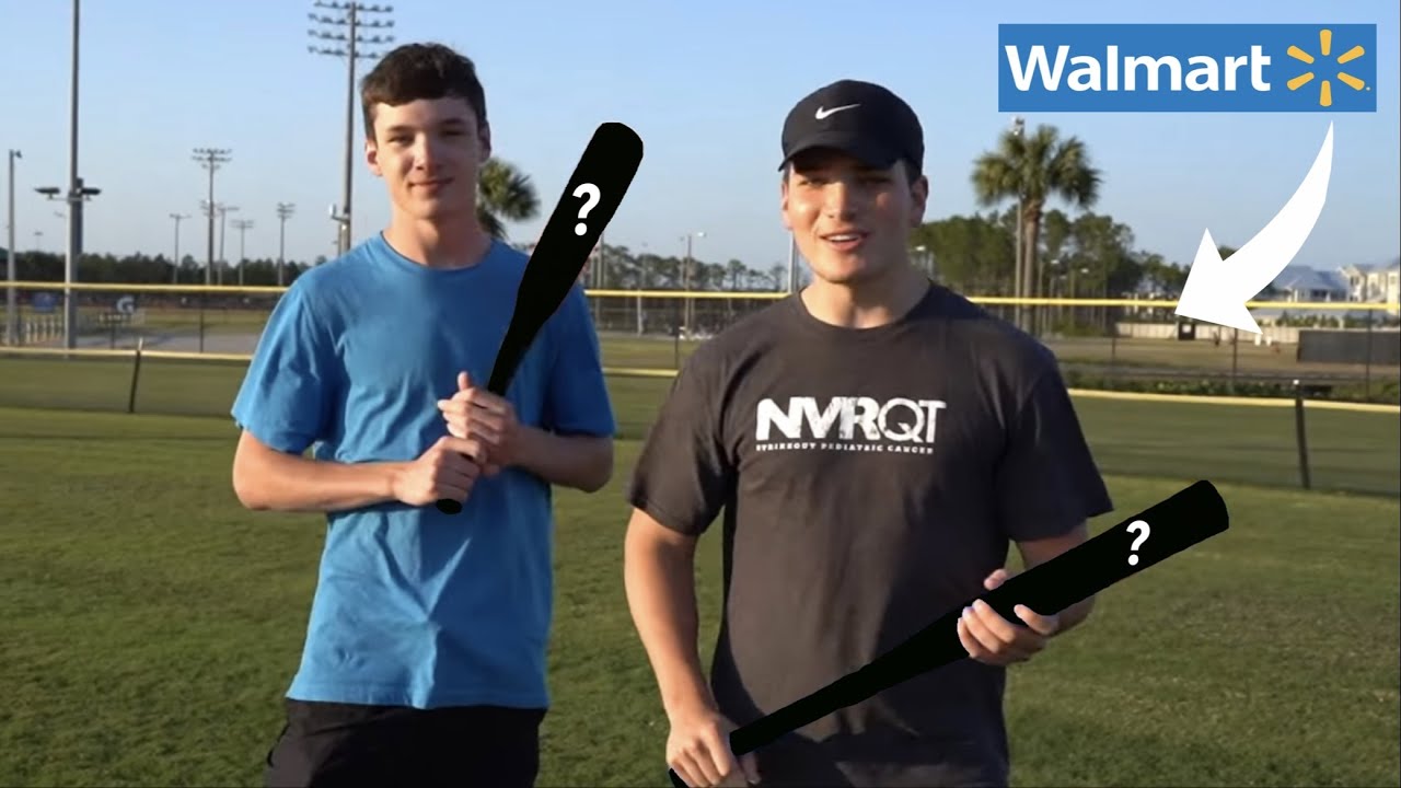 Dicks wiffle ball bat