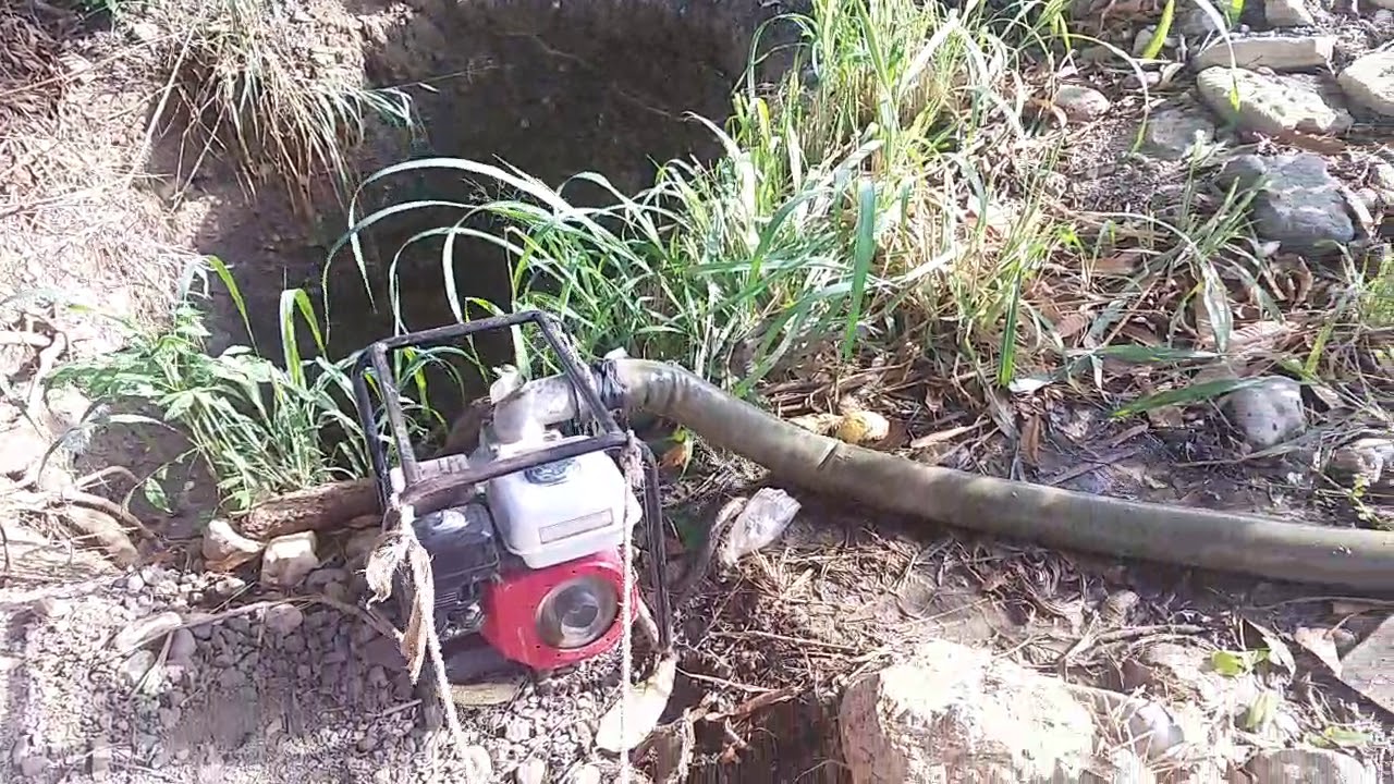 Vin fe yn ti visit avem nan jaden an depi gromon