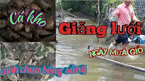 Giăng lưới bắt cá về nấu canh chua bông súng và kho tiêu bữa cơm đậm tình quê. BE STEEN TV