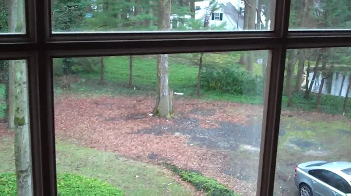 Lisa's House.MP4