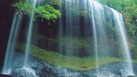 تلاوة خاشعة بصوت الشيخ احمد العجمي (ارح قلبك )أرجو لاتنسوني من دعائكم