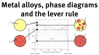 How to use phase diagrams and the lever rule to understand metal alloys screenshot 5