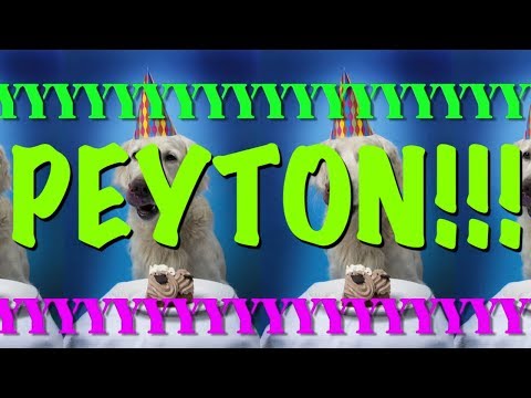 happy-birthday-peyton!---epic-happy-birthday-song