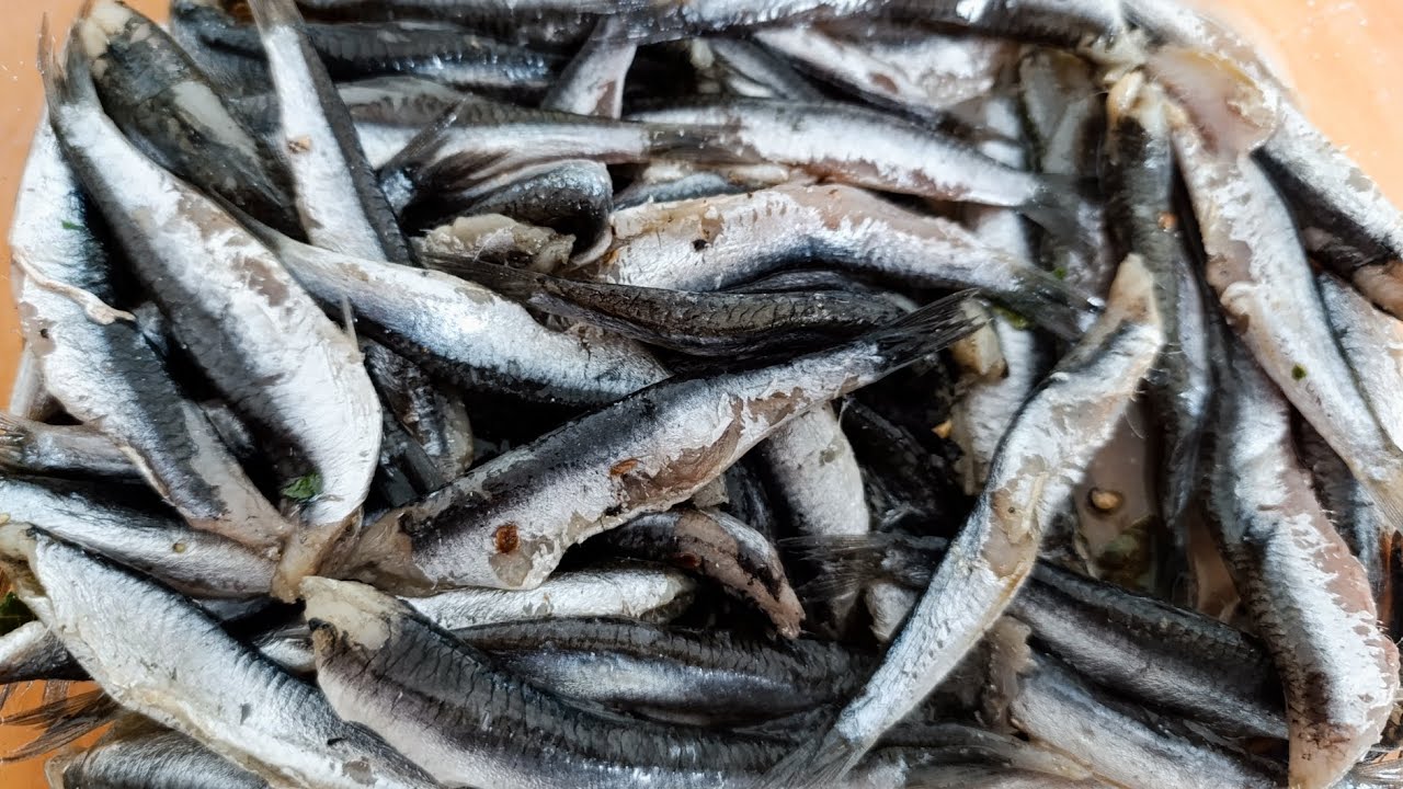 ХАМСА СУХОГО ПОСОЛА