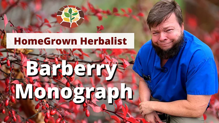 Barberry & Oregon Grape Monograph - Herbal Review ...
