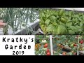 Kratky's Vegetable Garden in Hawaii   2019