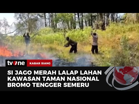 Kepulan Asap Putih Pekat Masih Menyelimuti Hutan di Kawasan Taman Nasional Bromo Tengger Semeru