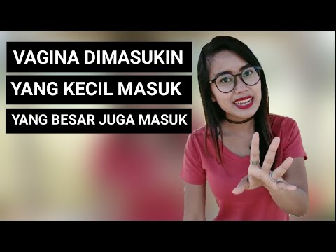 Vagina dimasukin yang kecil, masuk. Dimasukin yang besar juga masuk | fakta vagina