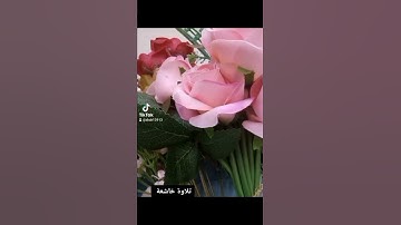 تلاوة خاشعة للشيخ ريان المحيسني